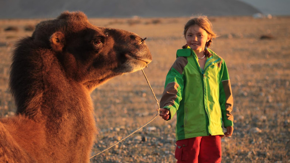 Letztes Lichtbildarenawochenende der Saison