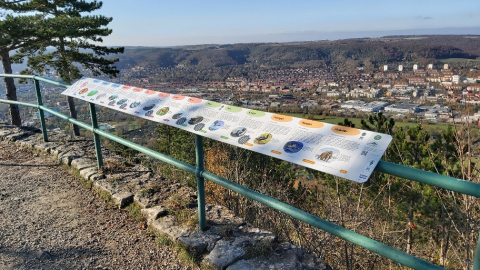 SaurierPfad Jena wächst