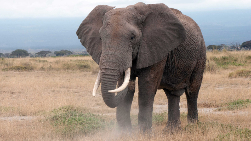 Energiesparen, wann immer möglich