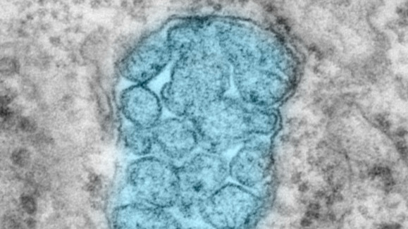 Neue Funktion von ATR entdeckt