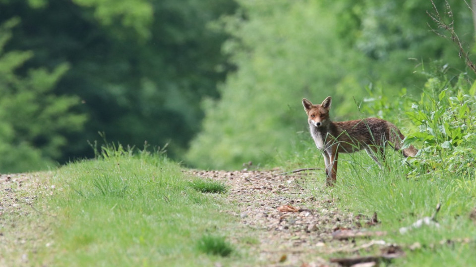 Einblicke in die verborgenen Netzwerke des Lebens