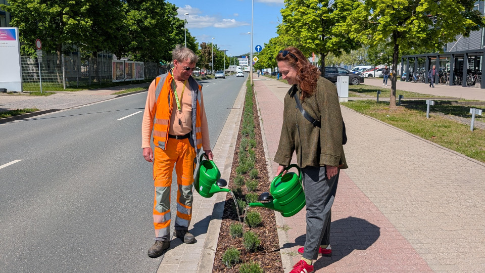 Göschwitz: Lavendel statt Rasen 