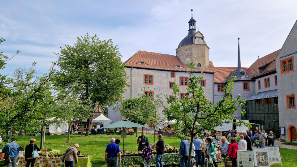 Pflanzenbörse auf den Dornburger Schlössern