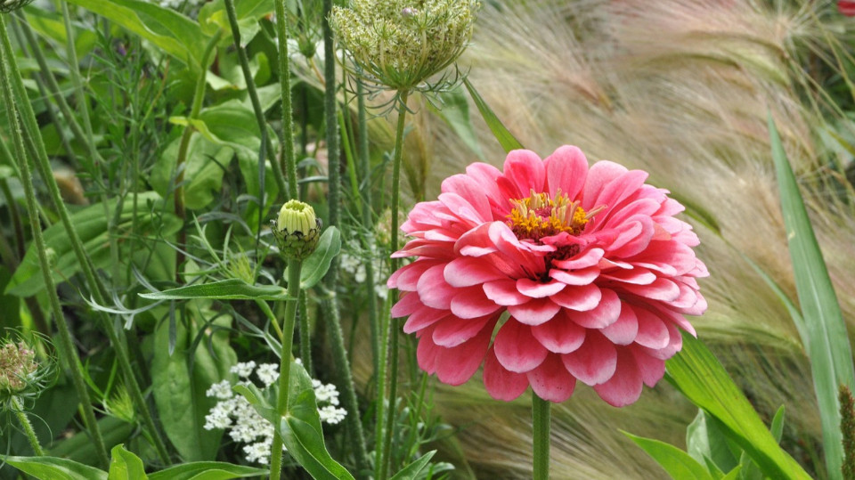 Preis für Grüne Oasen