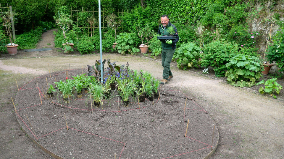 Bauhaus trifft Blumenbeet – Sommerflor in Dornburg 