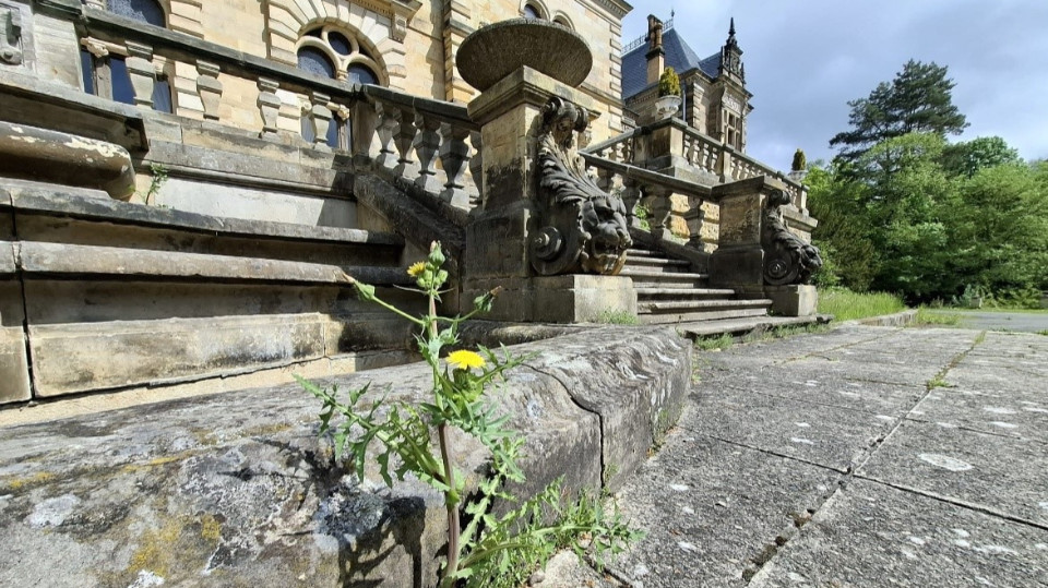 Frühjahrsputz am Märchenschloss