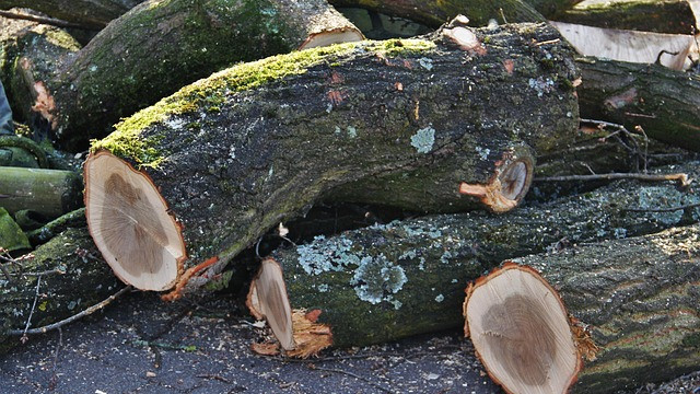 Vollsperrung Kreisstraße zwischen Thalbürgel und Waldeck