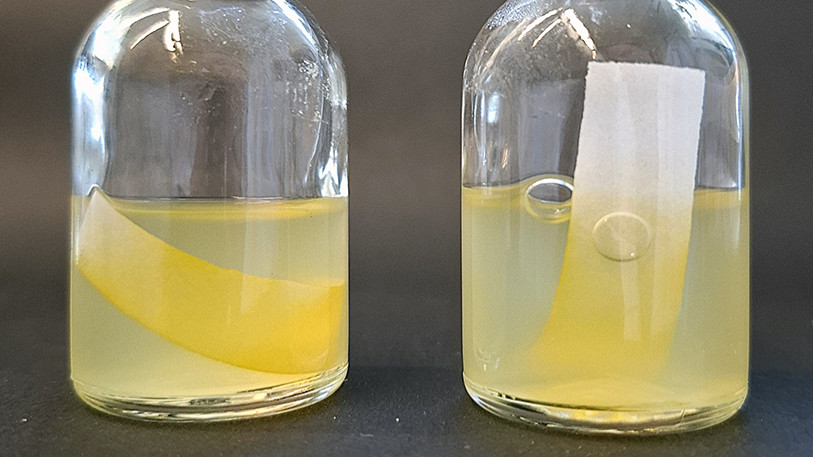 Pigmente, die mehr können