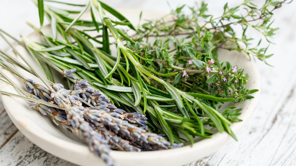 Kräuterwanderung in Winzerla