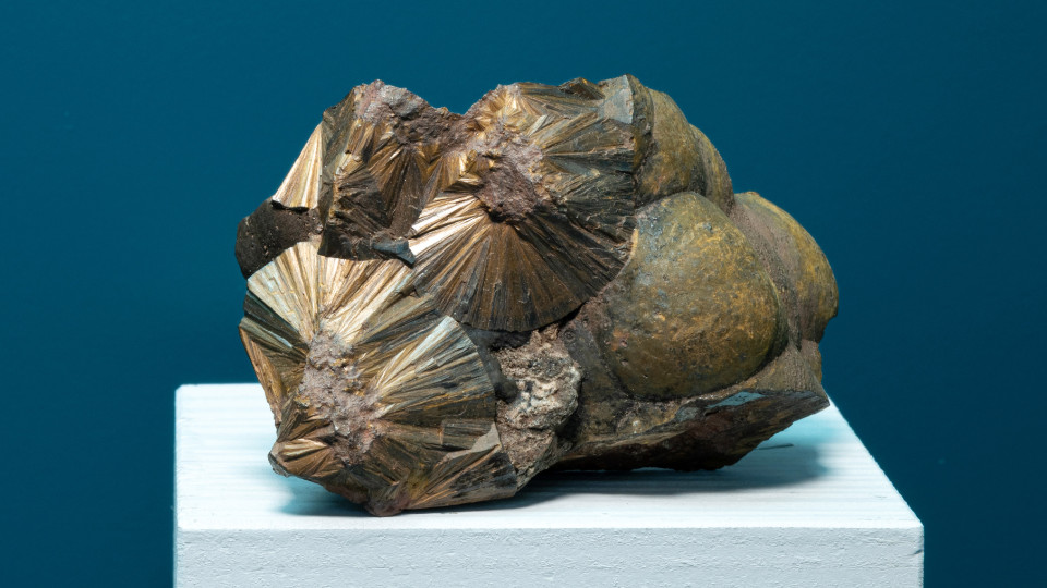 Beeindruckende Sammlung eines Privatgelehrten    