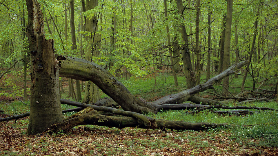 Lange Tage der Natur in Jena