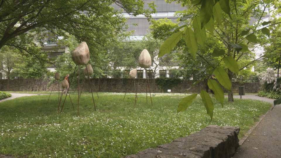 Kunst als Ökosystem – Skulpturengarten im Zeichen natürlicher Prozesse