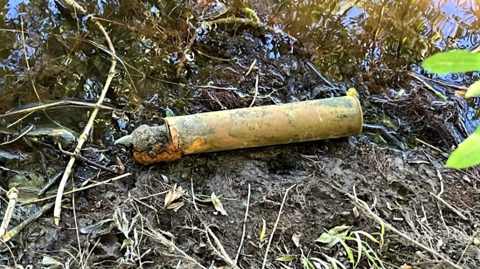 Ungewöhnlicher Fund beim Baden