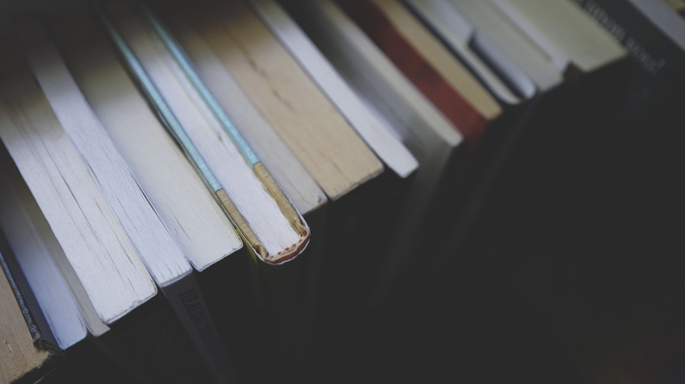 Bücher aus dem Feuer