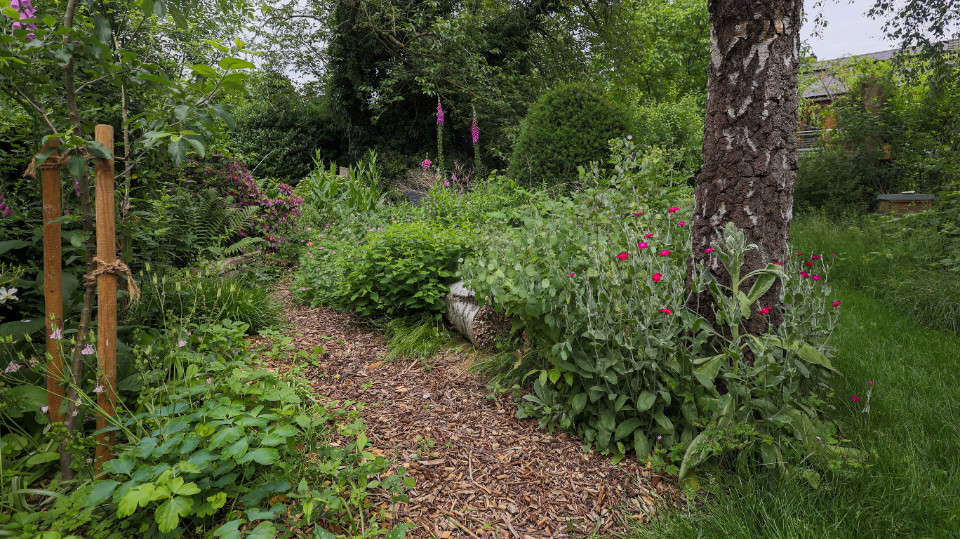 Wie artenreich ist der heimische Garten?