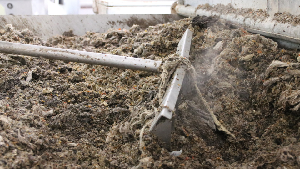 Tag des Toilettenpapiers