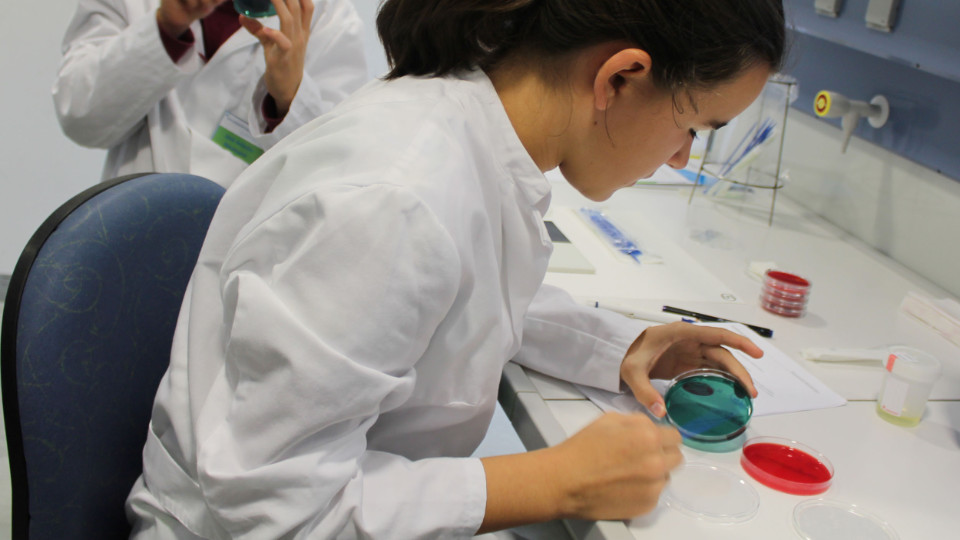 Schülerlabor in den Herbstferien