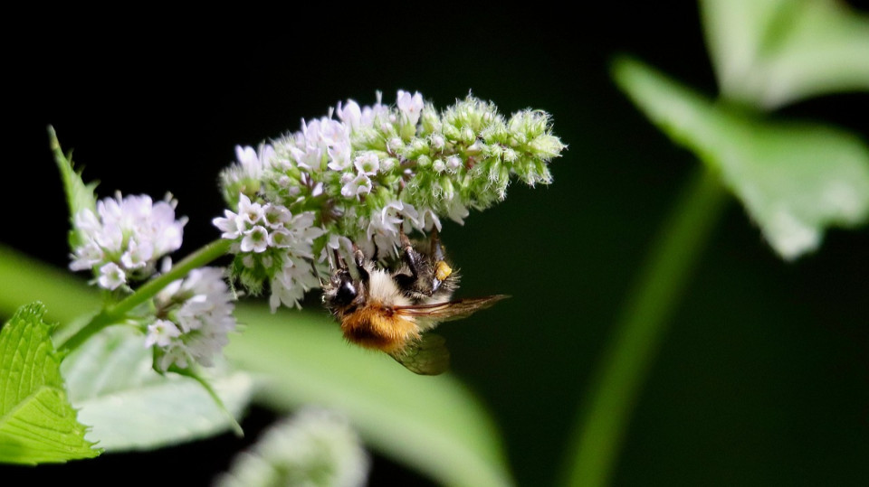 Kinder- und Jugend-Umweltpreis 2026 Kinder- und Jugend-Umweltpreis 2026