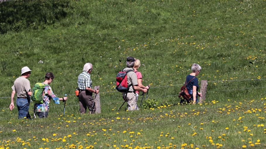 30 Jahre Sternwanderung für Senioren
