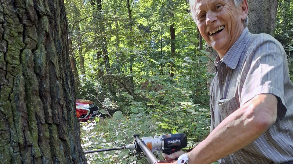 Jahresringe von Bäumen erzählen Geschichten
