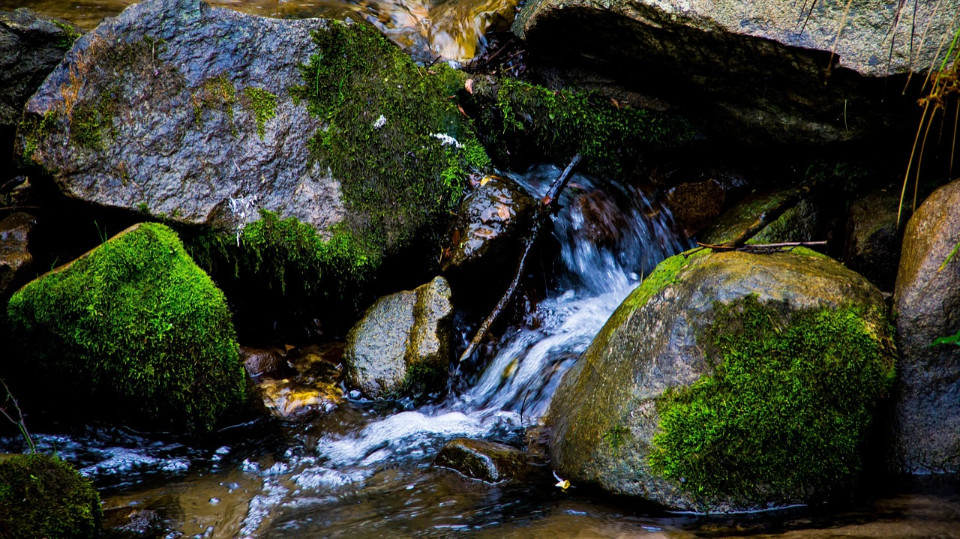 Allgemeinverfügung zum Wasserentnahmeverbot