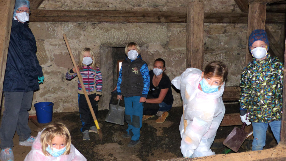 Fledermäuse brauchen helfende Freunde