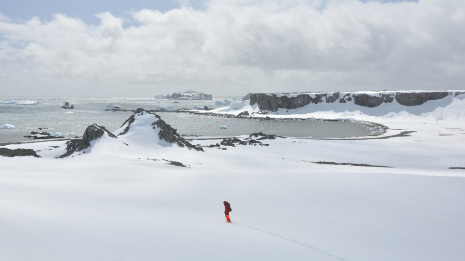 Vogelgrippe in der Antarktis breitet sich aus