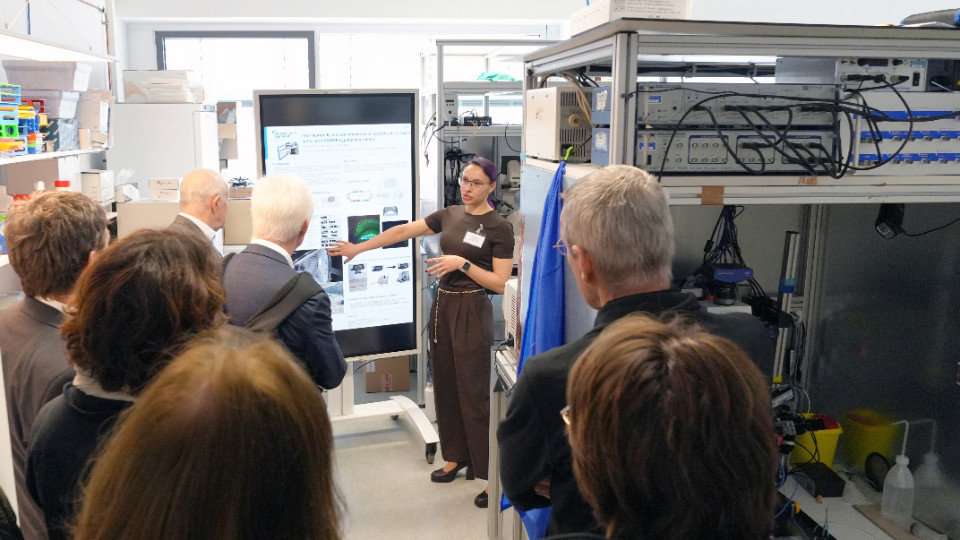 Forschung an der Schnittstelle von Immunologie und Gehirn