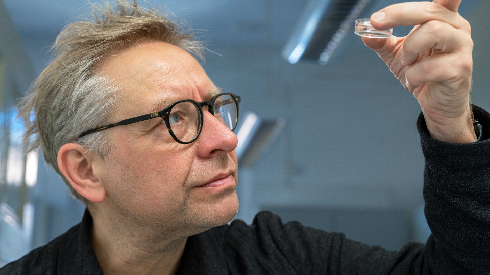 Jenaer Forscher klären Ursprung des Anus in der Evolution