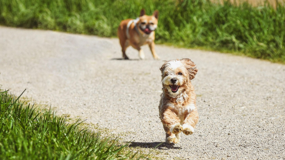 KSJ erinnert an Rücksicht und Sauberkeit