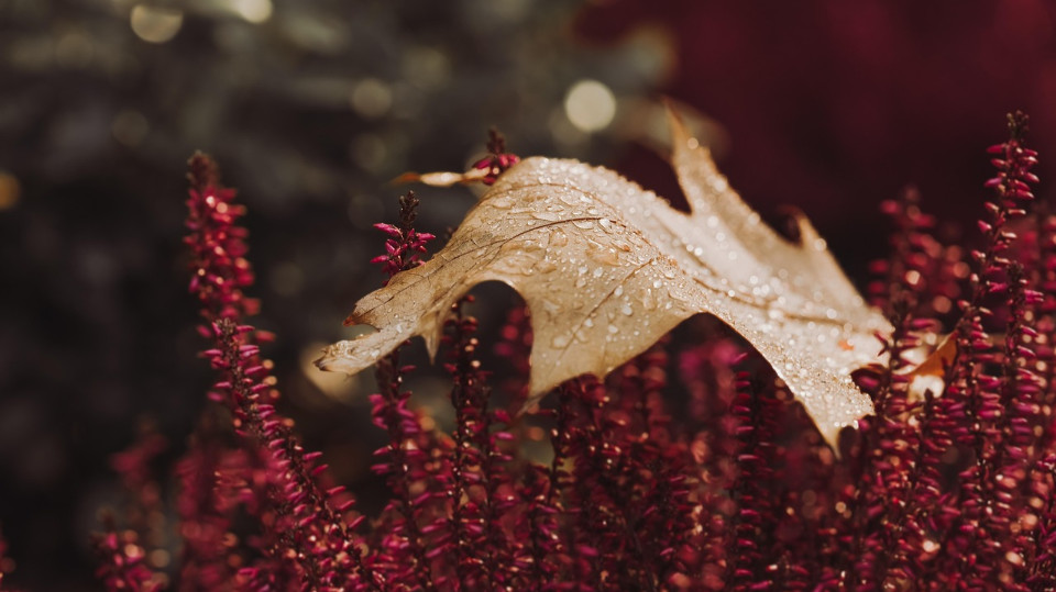 Einladung zum Trauerkreis