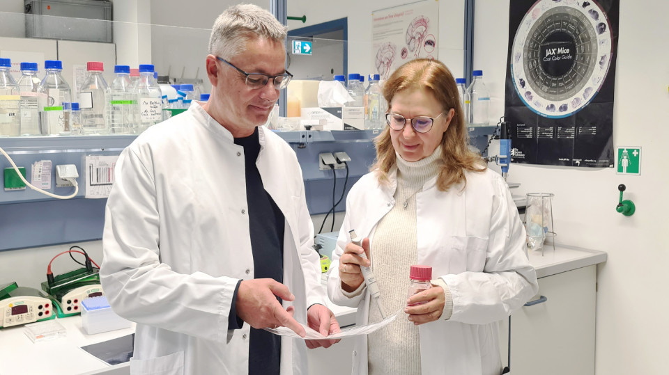 Jenaer Forschende untersuchen Einfluss der Wechseljahre auf das Gehirn