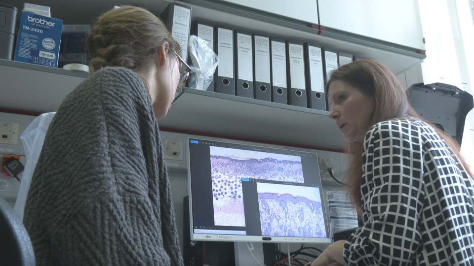 Tierschutzpreis – Forscherinnen reduzieren Tierversuche