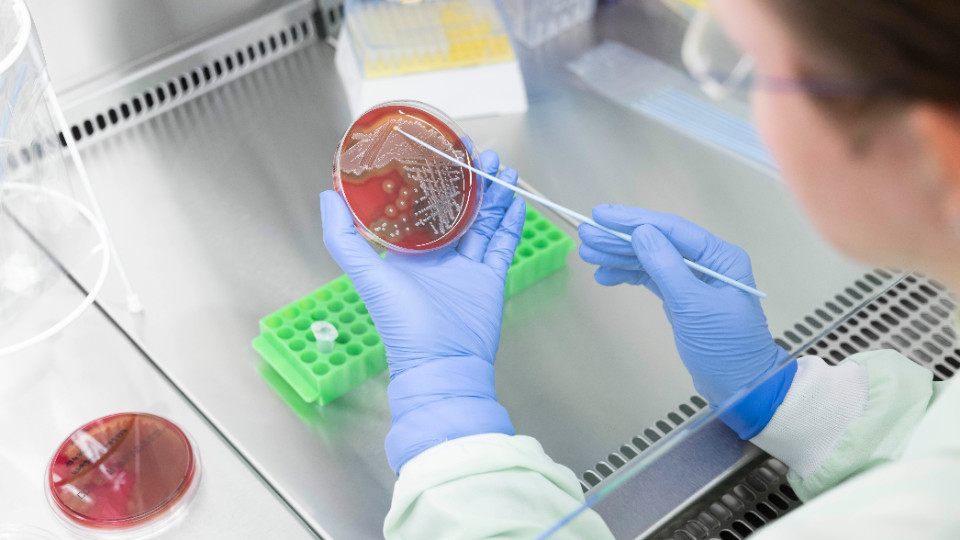 Erkennung von Impflücken und Antibiotikaresistenzen