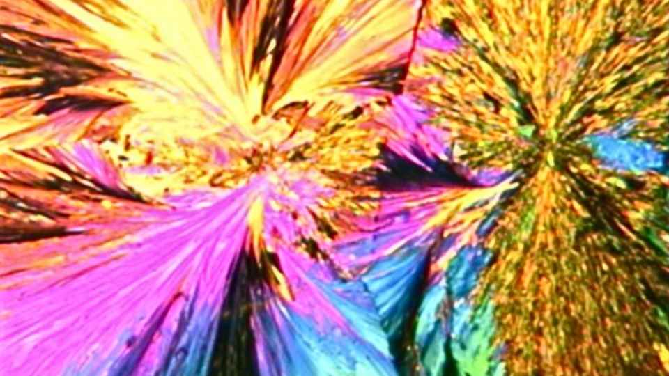 „Was sehe ich?“ – Wenn Wissenschaft zur Kunst wird