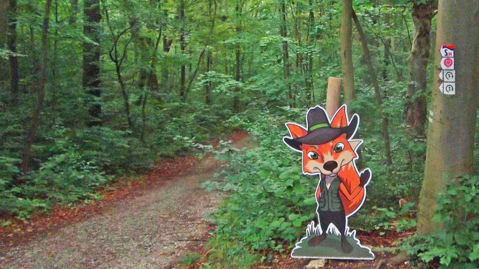 Fotoausstellung zeigt Eindrücke von der SaaleHorizontale