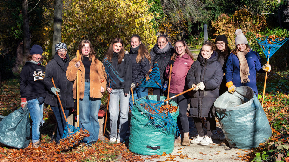 Auszubildende helfen bei Herbstpflege 