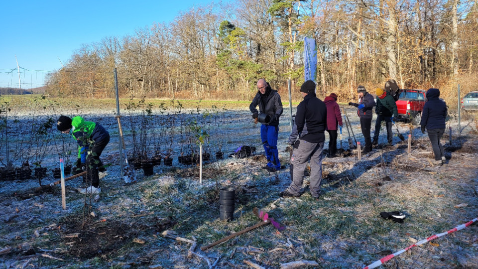 1.300 Baumsetzlinge gepflanzt