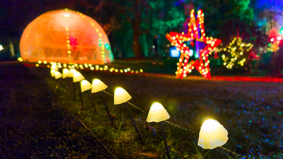 Lichtergarten lockt rund 20.000 Besucher in den Botanischen Garten