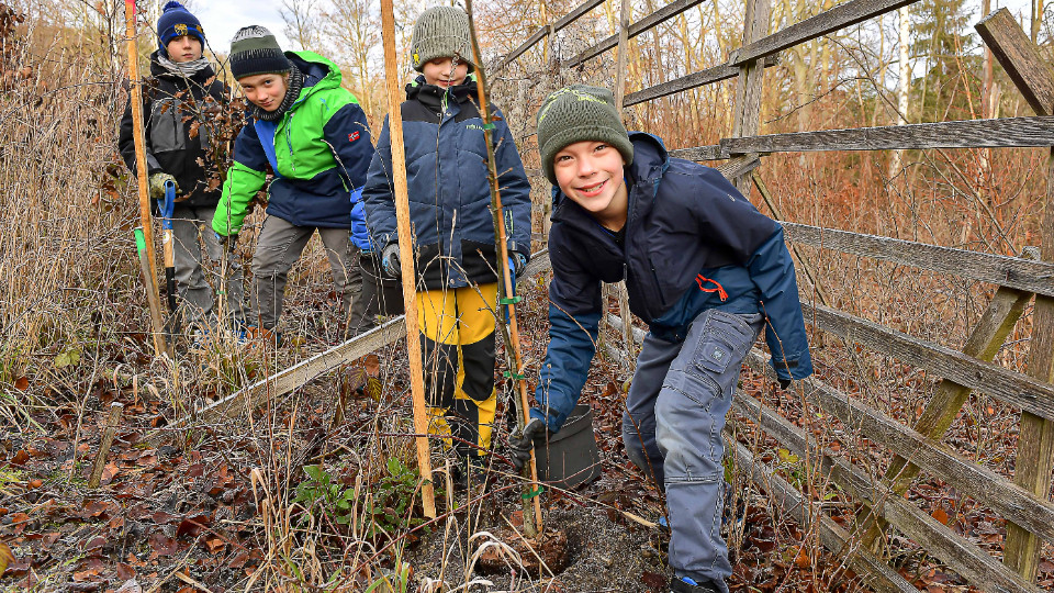Montessorischule pflanzt 100 junge Eichen im Stadtwald