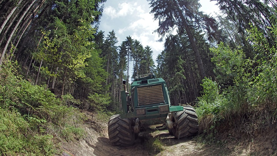 Über den Ursprung des Begriffs „Nachhaltigkeit“ Über den Ursprung des Begriffs „Nachhaltigkeit“