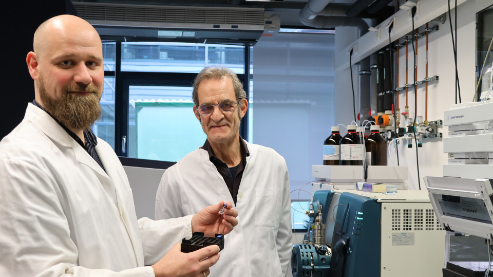 Der Pilzpartner des Werftkäfers Der Pilzpartner des Werftkäfers