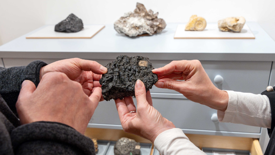 Wie schützt man Kulturgut vor Notfällen?