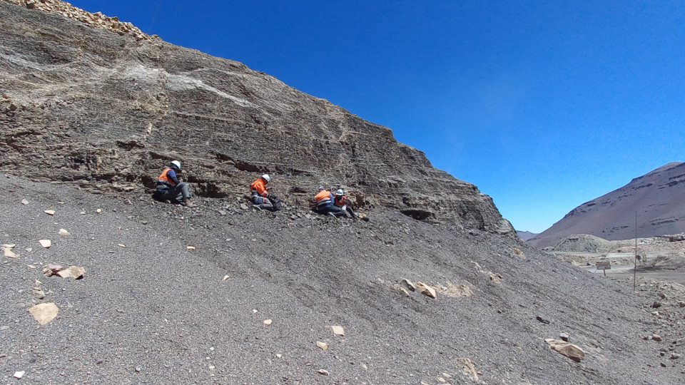 Vielfältiges Leben in einem urzeitlichen See Vielfältiges Leben in einem urzeitlichen See