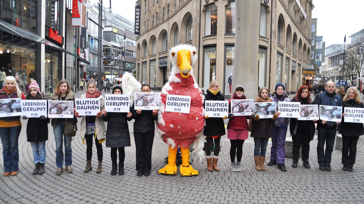 PETA protestiert gegen Tierqualprodukt Daunen