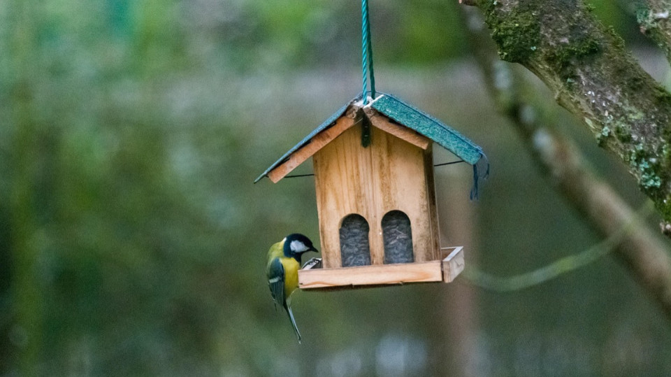 Natur erleben, schmecken und gestalten