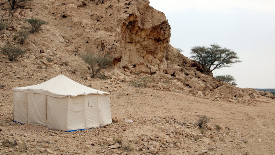 Neue Funde bringen alte Theorie ins Wanken     