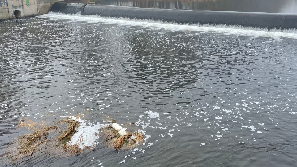 Schaumbildung auf der Saale: Natürliches Phänomen im Frühjahr