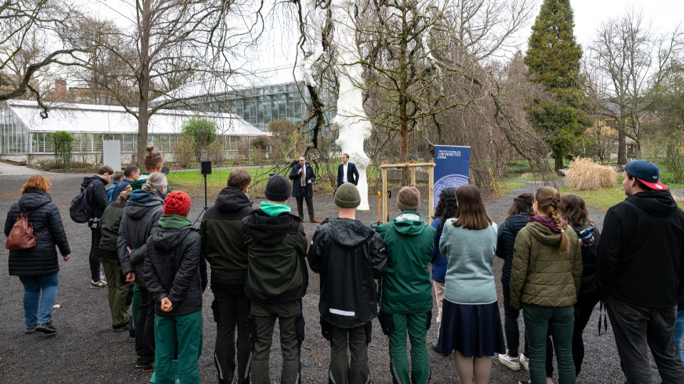 Ersatzpflanzung im Botanischen Garten