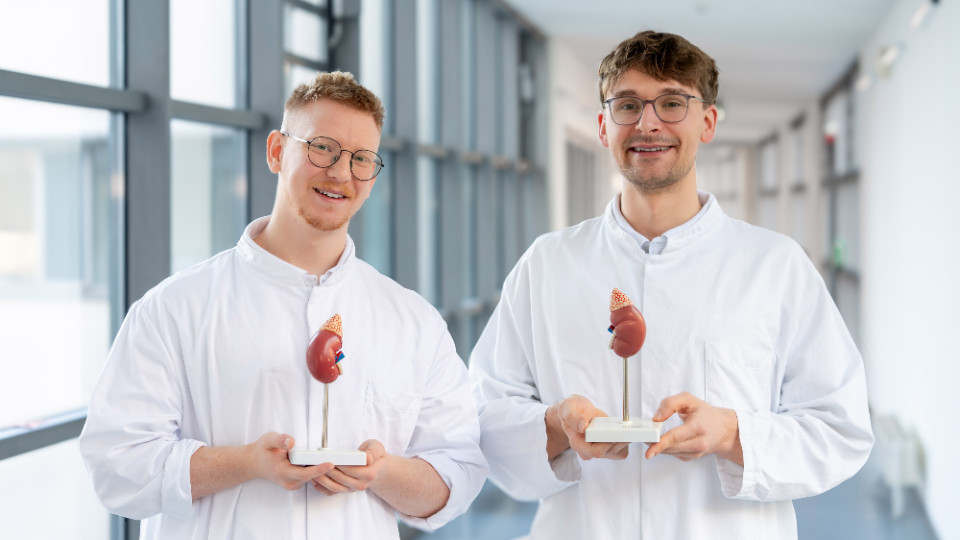 Damit es nicht an die Nieren geht